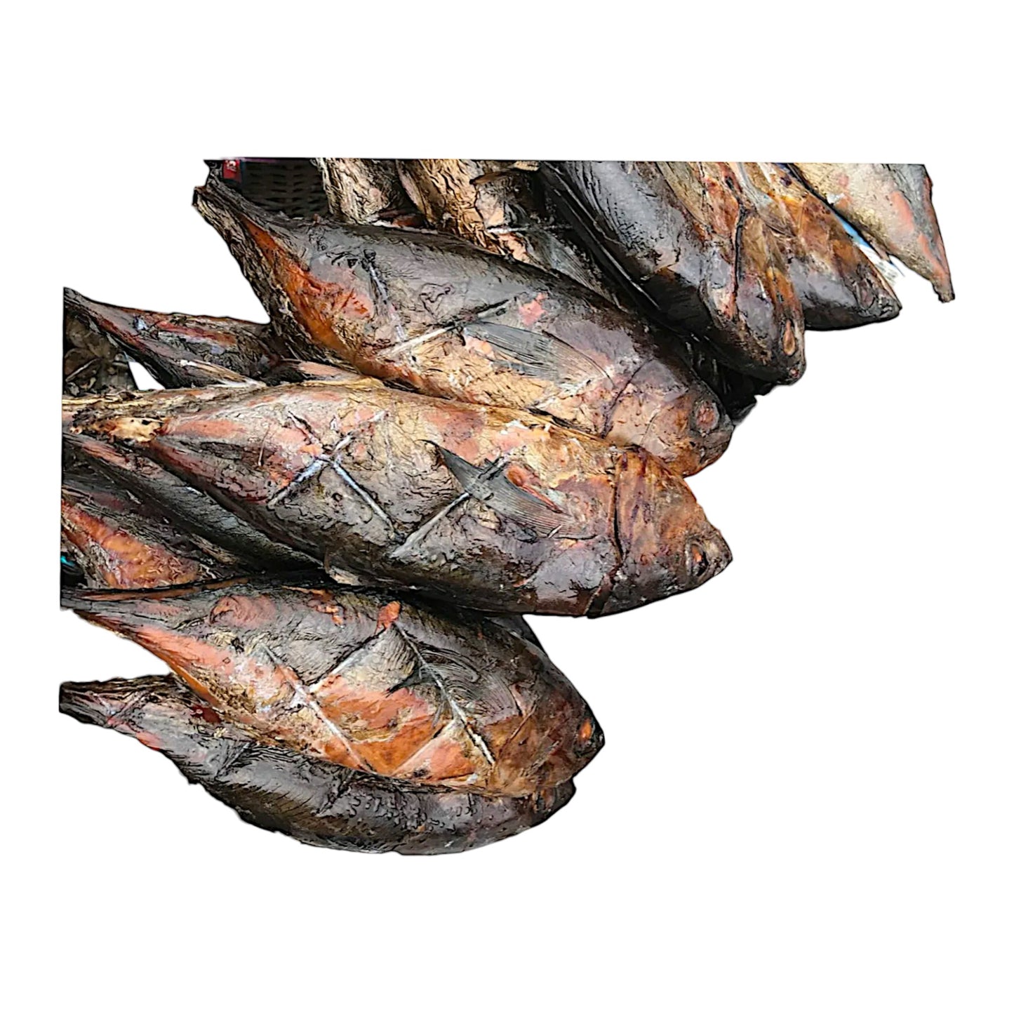 Big Whole Smoked Tuna 1000g - 1200g