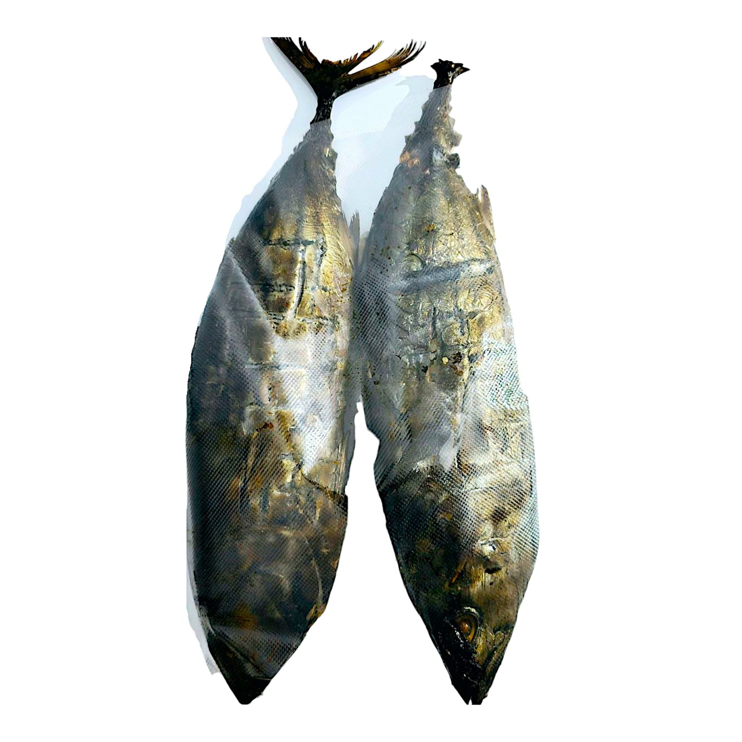 Big Whole Smoked Tuna 1000g - 1200g