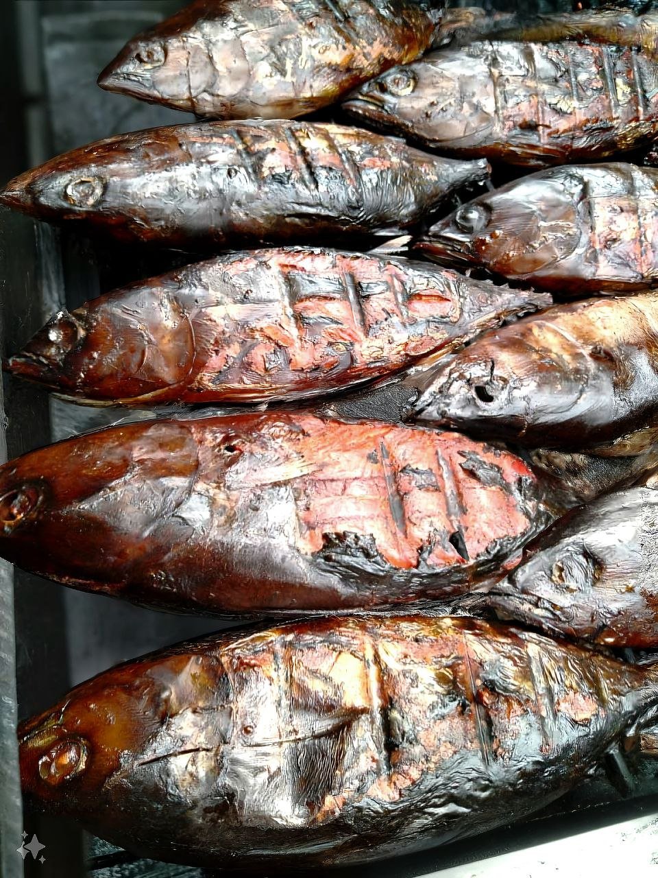 Big Whole Smoked Tuna 1000g - 1200g