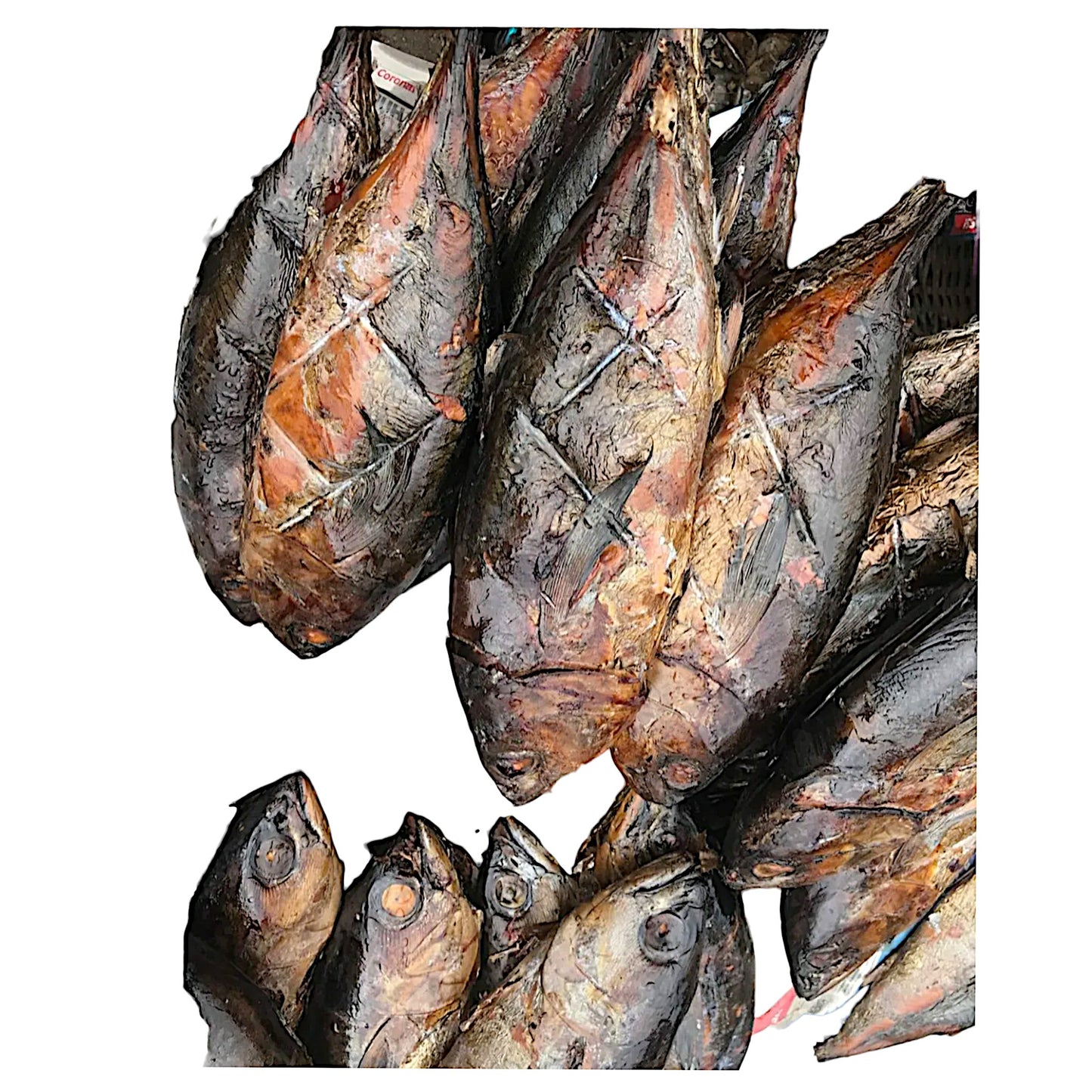 Big Whole Smoked Tuna 650g & 950g